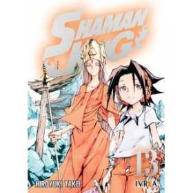 Shaman King Vol 13